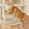 A fluffy orange cat is climbing on a beige cat tree. Produktbild-Vorschau