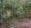 Gartennetz für Pflanzen mit großer Maschenweite 2x10 m/ Produktbild-Vorschau 4