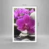 Poster - Poster ohne Rahmen - Orchidee Bambus Dekoration Produktbild-Vorschau 4