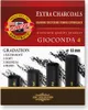 KOH-I-NOOR Set di carboncini artificiali extra Set di Anteprima dell’immagine prodotto 1