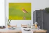 MuchoWow® Poster Vogel - Tiere - Uferschnepfe - Pfahl - Produktbild-Vorschau 3