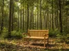 Lesli Living Landhausbank Cardiff 130 cm Teak C-Grade Produktbild-Vorschau 9