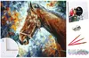 Malen nach Zahlen Set Gemälde 40x50cm auf dem Rahmen - Produktbild-Vorschau 1