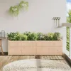 vidaXL květináč 180x50x50 cm z masivního borovicového dřeva Náhled obrázku produktu 3