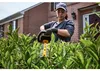 DeWALT DCMHT573N-XJ, 66 cm, Podwójne ostrze, 3,1 cm, Podgląd zdjęcia produktu 12