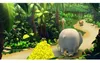 Donkey Kong Country Returns HD Náhled obrázku produktu 10