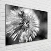 Tulup® Glas-Bild - 100 x 70 - Wandbild aus Glas - Wandkunst Produktbild-Vorschau 2