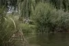 Shimano Tribal Specialist TX Float Anteprima dell’immagine prodotto 5