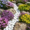 Thassos Weißer Kies 3–6 cm, 10 kg – Glänzender Naturstein Produktbild-Vorschau 5