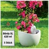 Scheurich Wasserspeicher Bördy XL | 5x Weiß | 620ml Produktbild-Vorschau 1