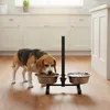 Mangeoire pour chiens réglable en hauteur - 2 bols - Voir les images du produit 8
