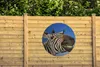 MuchoWow® Gartenposter Outdoor-Poster Rund Zebra - Lustig - Produktbild-Vorschau 3