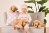 Teddy Hermann Schlenkerhund beige kuscheliges Plüschtier Produktbild-Vorschau 11