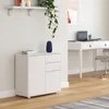 Komoda „Paarl“ se 2 dvířky a 2 zásuvkami, 74 x 79 x 36 cm, Náhled obrázku produktu 1