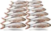 Köderfische Silberorfe Klein - Vakuumverpackt | 8-14CM | Produktbild-Vorschau 1