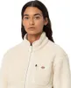 Dickies 469945 : Größe - L Größe: L Produktbild-Vorschau 14