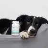 Vet Expert KalmVet 60 kaps. Preparat Na Objawy Stresu Dla Podgląd zdjęcia produktu 6