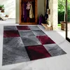 Homebyhome Tappeto Moderno di Design per Soggiorno Motivo Anteprima dell’immagine prodotto 1
