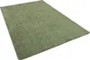 Hochflor Langflor Teppich Cottage Grün, Größe:200x200 cm Produktbild-Vorschau 2