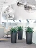 Interior scene with modern furniture and plants. Produktbild-Vorschau