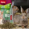 PANTO Kanin Zucht 25kg im Sack - Kaninchenfutter Produktbild-Vorschau 3