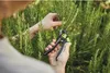 Gartenschere, Rosenschere for_q, Bypass Produktbild-Vorschau 6