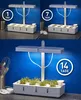 LED Pflanzenlampe Pflanzenleuchte Gewächslampe 30W Grow Produktbild-Vorschau 4