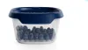 A clear studio shot of a small, transparent food storage container filled with blueberries, with a dark blue lid. Anteprima dell’immagine prodotto