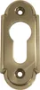 Zylinderrosette PZ, WG oval, 32 x 74 x 6mm, Messing poliert Produktbild-Vorschau 1