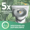 Air Wick Duftstecker Starter-Set Paket inklusive 1 Geräte & Produktbild-Vorschau 5