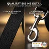 HUND IST KÖNIG Rollleine für Hunde - robuste 5m Hundeleine Produktbild-Vorschau 8