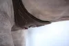 Kentucky Horsewear Kožený podbřišník Anatomical Brown Náhled obrázku produktu 3