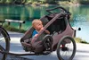 Qeridoo Kidgoo 1 - Kinderfahrradanhänger für 1 Kind Produktbild-Vorschau