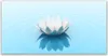 Acrylglasbilder 120x60 Wandbild Druck Blume Pflanzen Produktbild-Vorschau 1