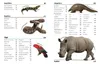 Tiere Produktbild-Vorschau 4