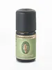 Bio Eukalyptus radiata, 5 ml Produktbild-Vorschau 3