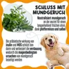 Natürliches Zahnpflegepulver Hunde/Katzen (100g) | Gegen Produktbild-Vorschau 4