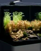 Dennerle Nano Cube Basic, 20 Liter - Mini Aquarium mit Produktbild-Vorschau 2
