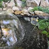 1.5x3,5 m rybníková vložka rezaná na mieru HDPE, odolná Náhľad obrázku produktu 4