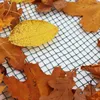 Rete per laghetti 4m x 10m Rete per foglie Rete di Anteprima dell’immagine prodotto 2