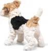 Steiff Kuscheltier Foxterrier Foxy Bunt (32cm) Produktbild-Vorschau 3