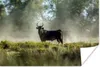 MuchoWow® Poster Schwarze Stiere in der Camargue 120x80 cm Produktbild-Vorschau 1