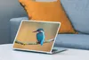 MuchoWow® Laptop Aufkleber Sticker Cover Vogel - Eisvogel - Produktbild-Vorschau 4
