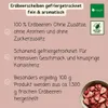 freshooo | Erdbeerscheiben gefriergetrocknet | 1,0 kg (5 x Produktbild-Vorschau 3