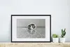 MuchoWow® MuchoWow® Gerahmtes Poster Katze - Teppich - Produktbild-Vorschau 4