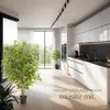 Umělý fíkus Fida, realistická textura - 120 cm Náhled obrázku produktu 9