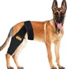A German Shepherd dog stands on a white background wearing a black knee brace on its hind leg. Produktbild-Vorschau