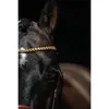 HKM Trense Marrakesh mit Zügeln Dunkelbraun Pony Produktbild-Vorschau 6