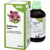 Salus Echinacea-Tropfen 100 ml Produktbild-Vorschau 2