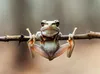 CALVENDO Puzzle Frosch denkt groß, auch wenn er klein ist | Produktbild-Vorschau 3